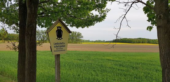 Moritzburger Kleinkuppenlandschaft