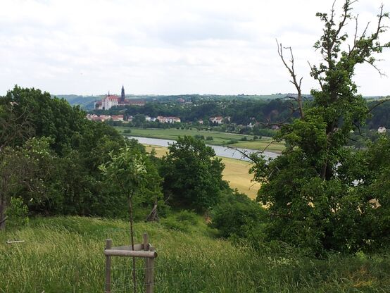 Blick von den Weinbergen auf unsere Kreisstadt