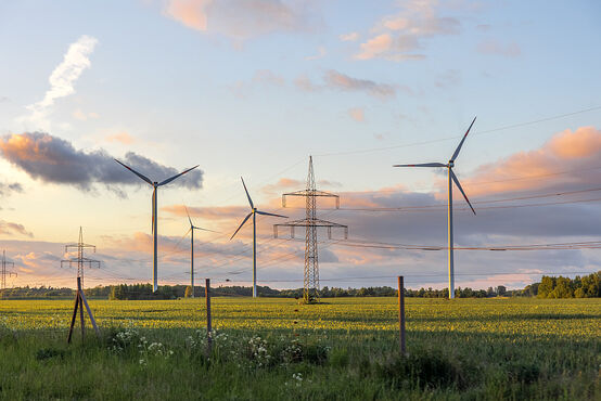 Künftiges typisches Landschaftsbild. Foto: Symbolbild, Freepik