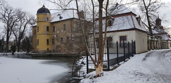 Biberbissspuren am Schlossareal