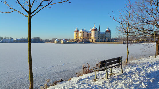 Neue "alte" Bänke für Moritzburg