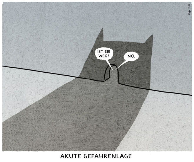 Cartoon: (c) Grolik