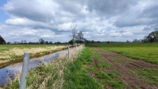 Dobrabach mit von Sediment beräumtem Randstreifen Foto: (c) Klaus Kroemke