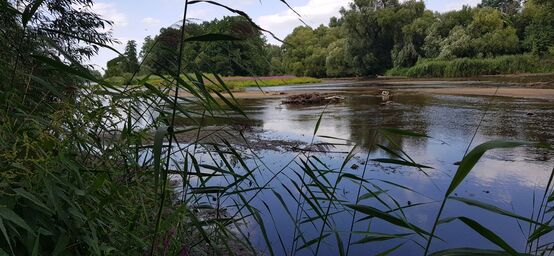 Stausee Radeburg