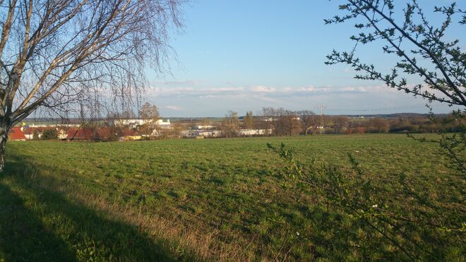 Blick vom KVR auf eine grüne Wiese - den Wohnstandort Heroldstein.