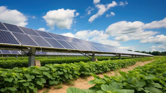 Landwirtschaft unter Solarmodulen (Foto: symbolisch, KI-generiert, Freepic)