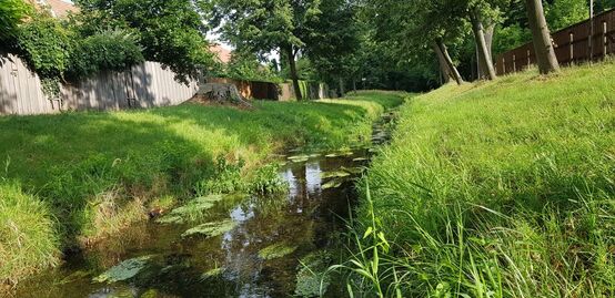 Die Promnitz, Uferpromenade am Zillehain.