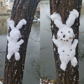 Schneehasenmann